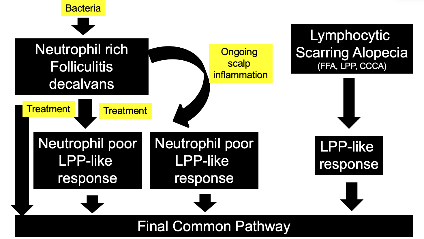 The LPP - FD Overlap Syndrome (LPP-FD Phenotypic Spectrum) — Donovan ...